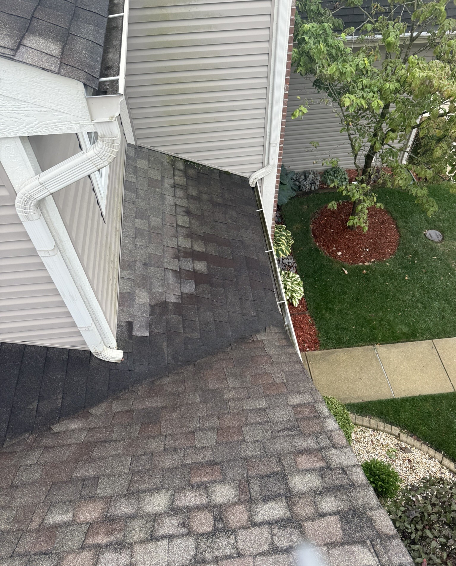 Sunset Roofing's image