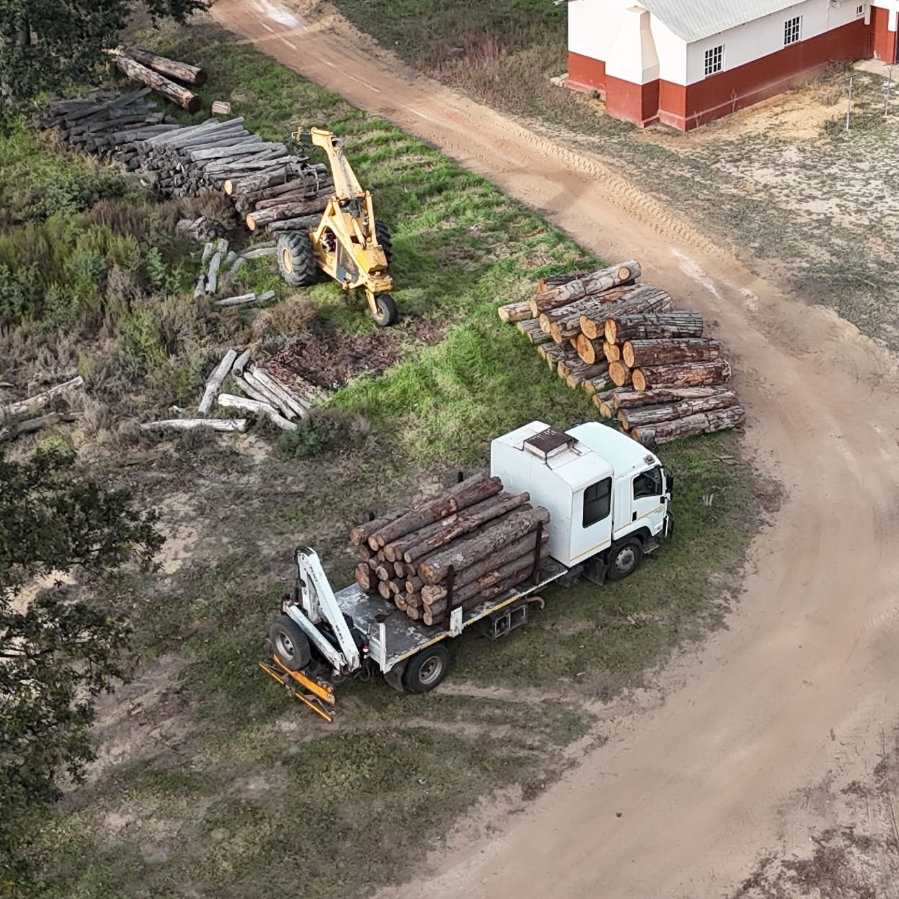 TREE & TIMBER CO.'s image