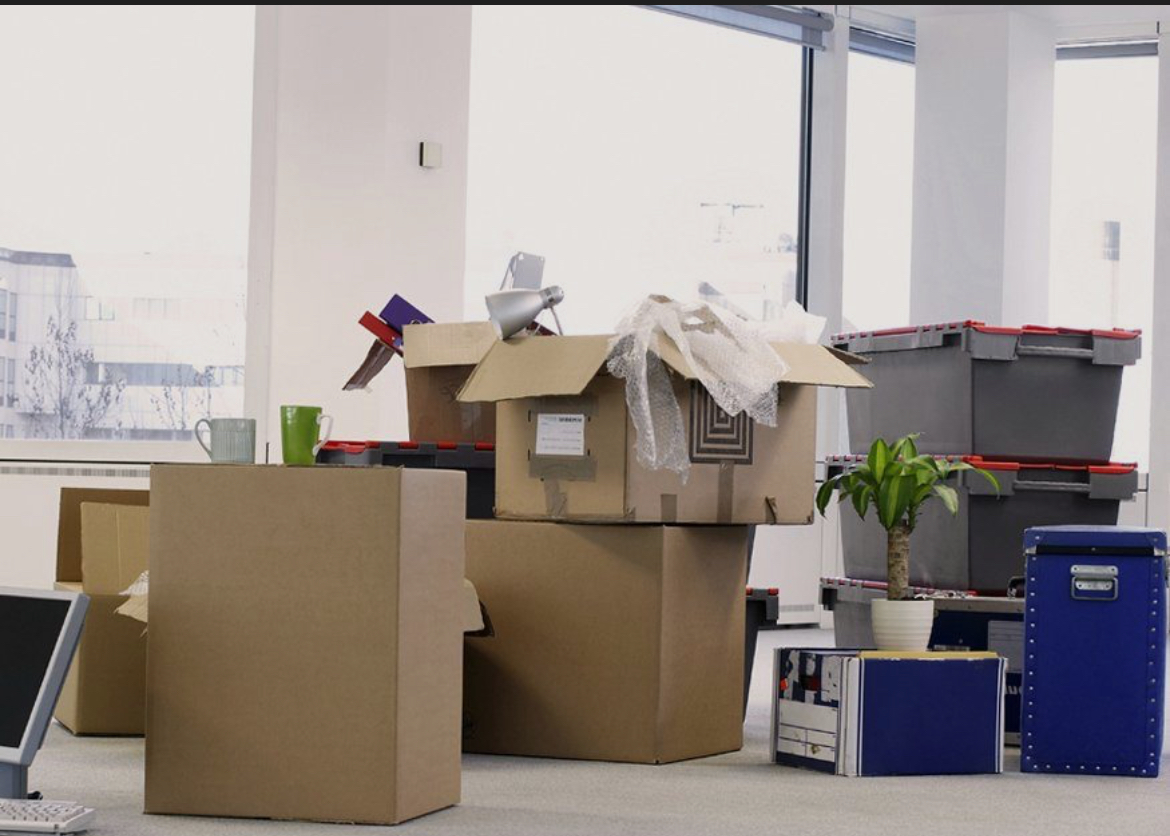 SHaul & Hustle Solutions | Junk Removal Services in PA & NJ's image