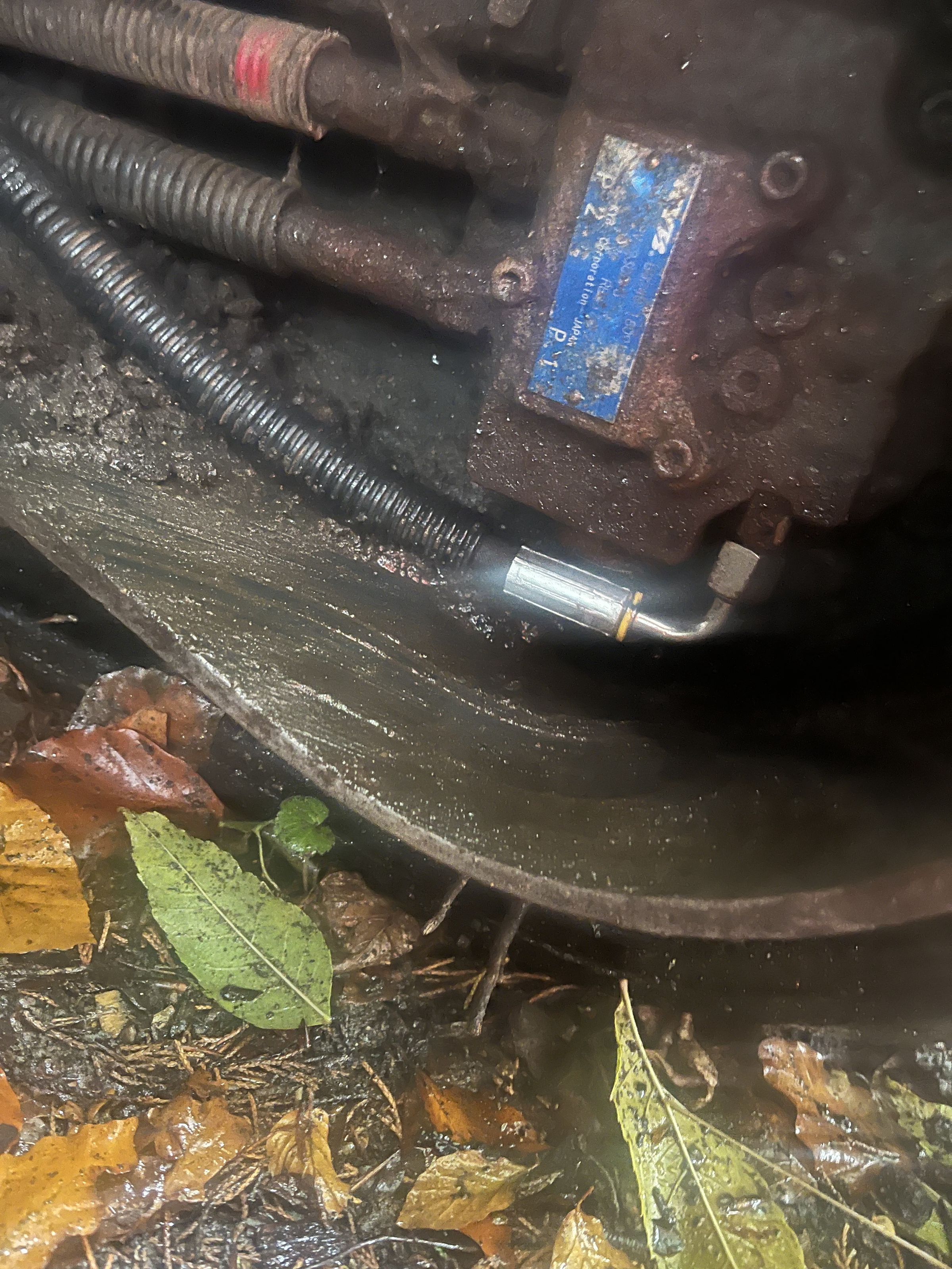 L J PLANT SERVICES 's image