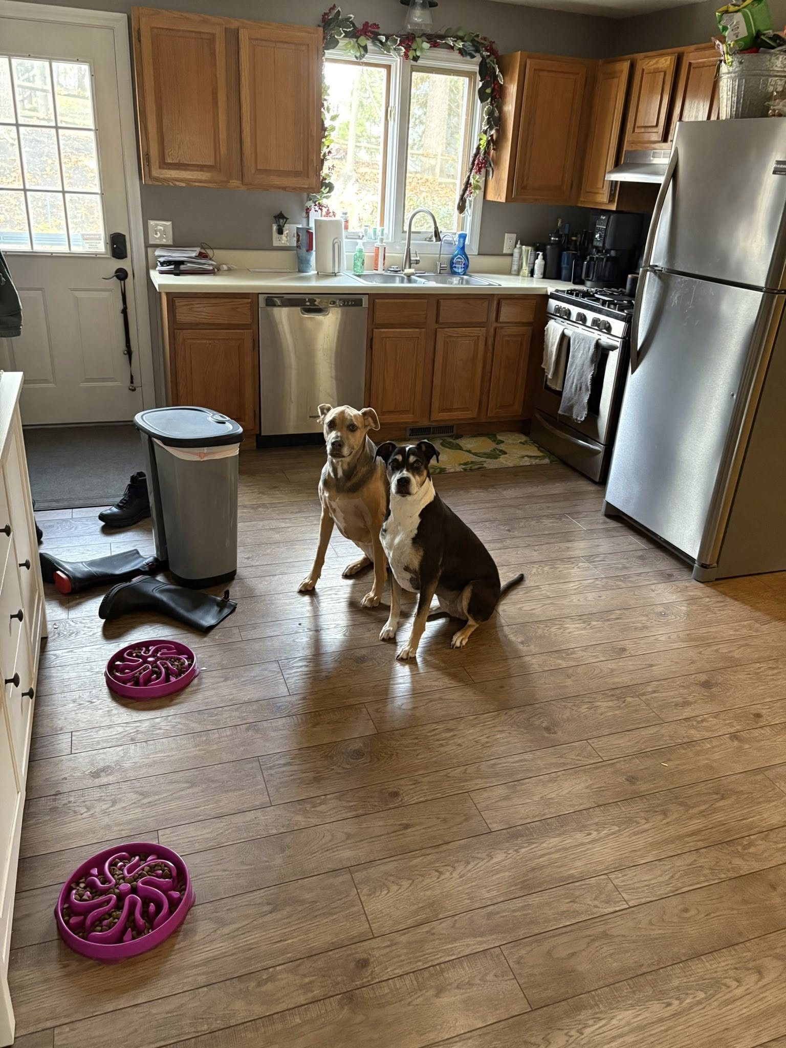 Homebound Pet Care LLC's image