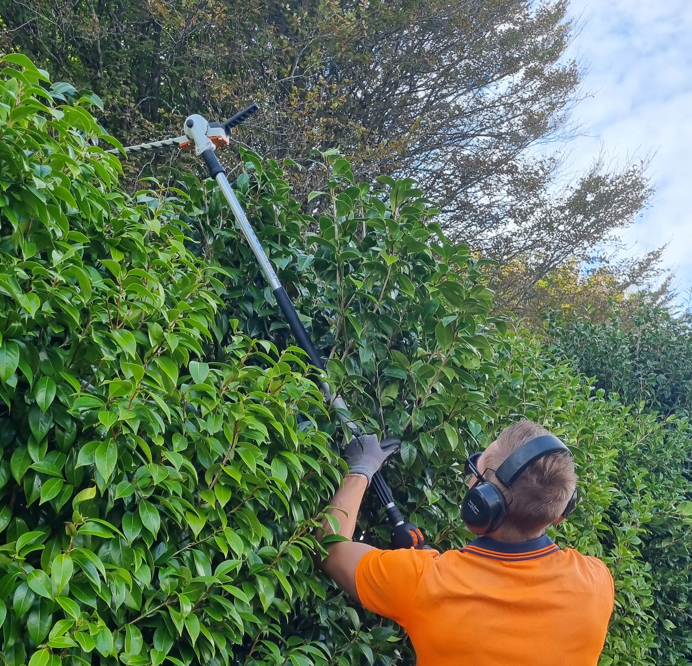 Peak Landscaping Taranaki's image
