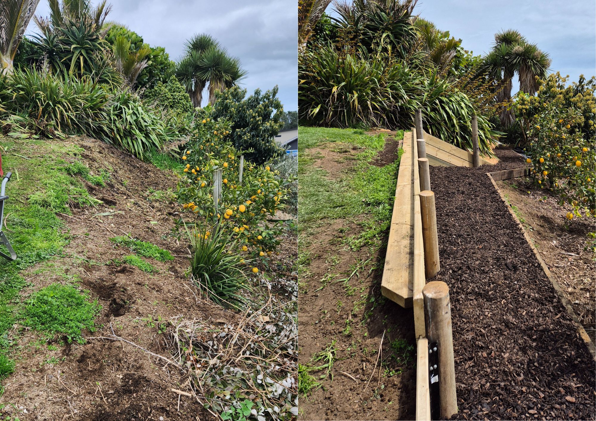 Peak Landscaping Taranaki's image
