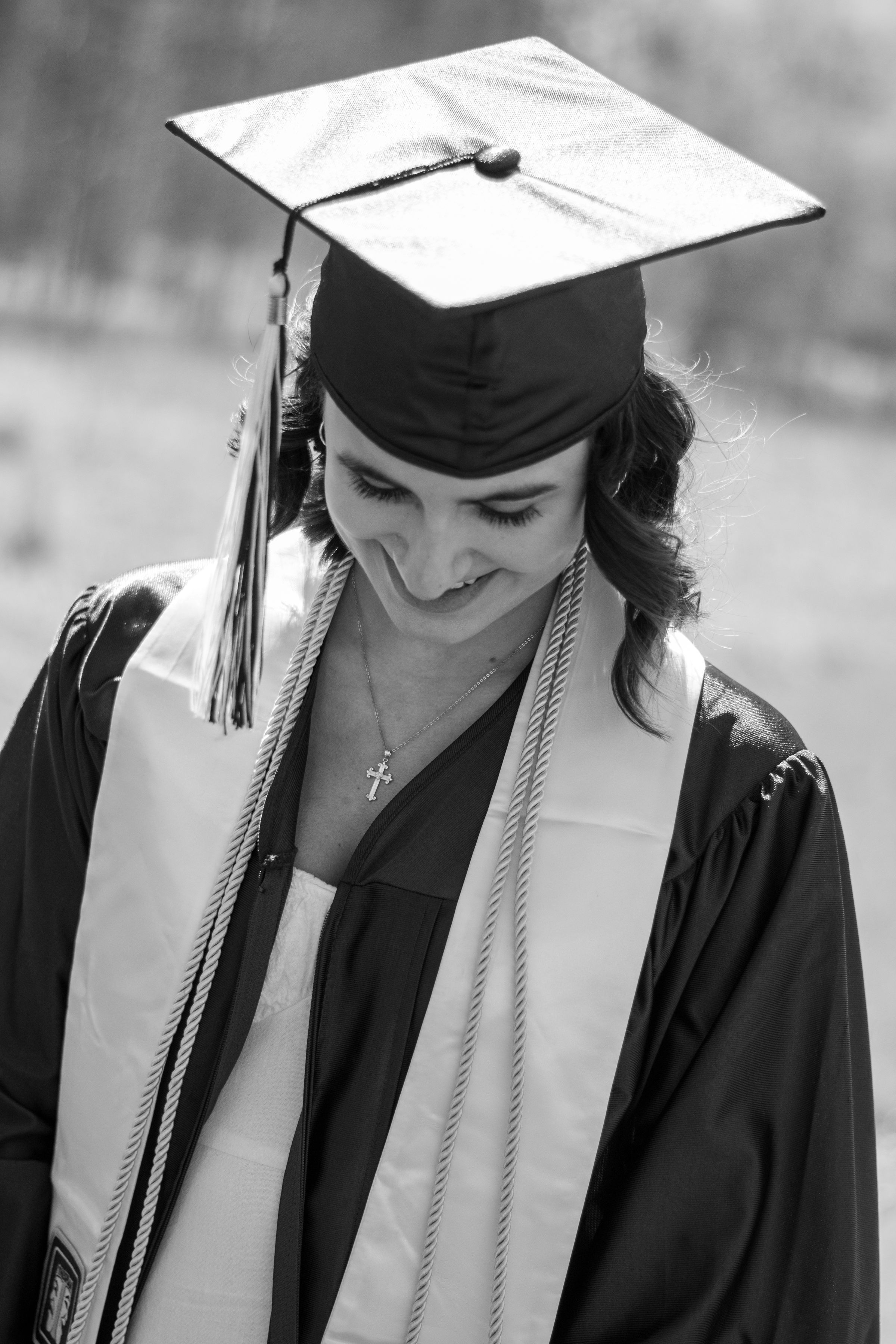 Veltum 
Productions's image