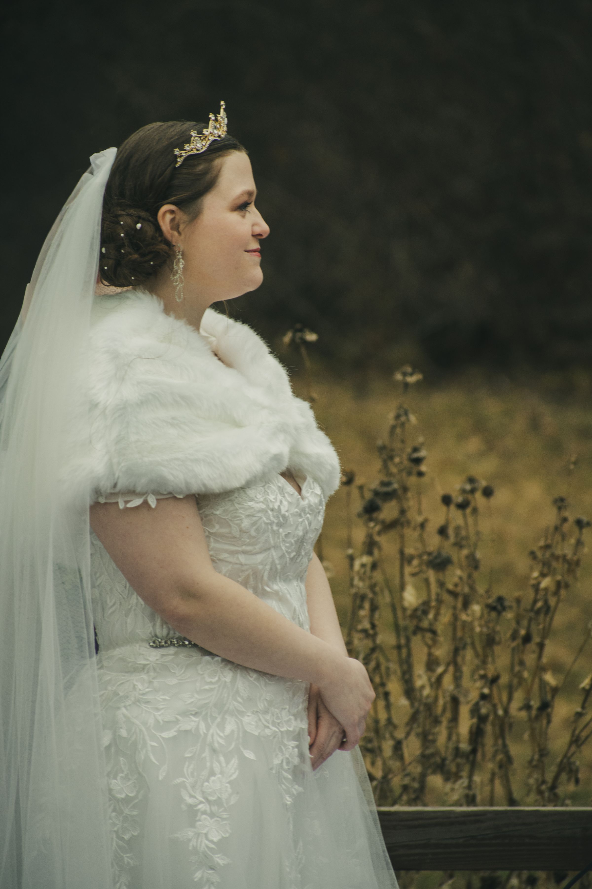 Veltum 
Productions's image