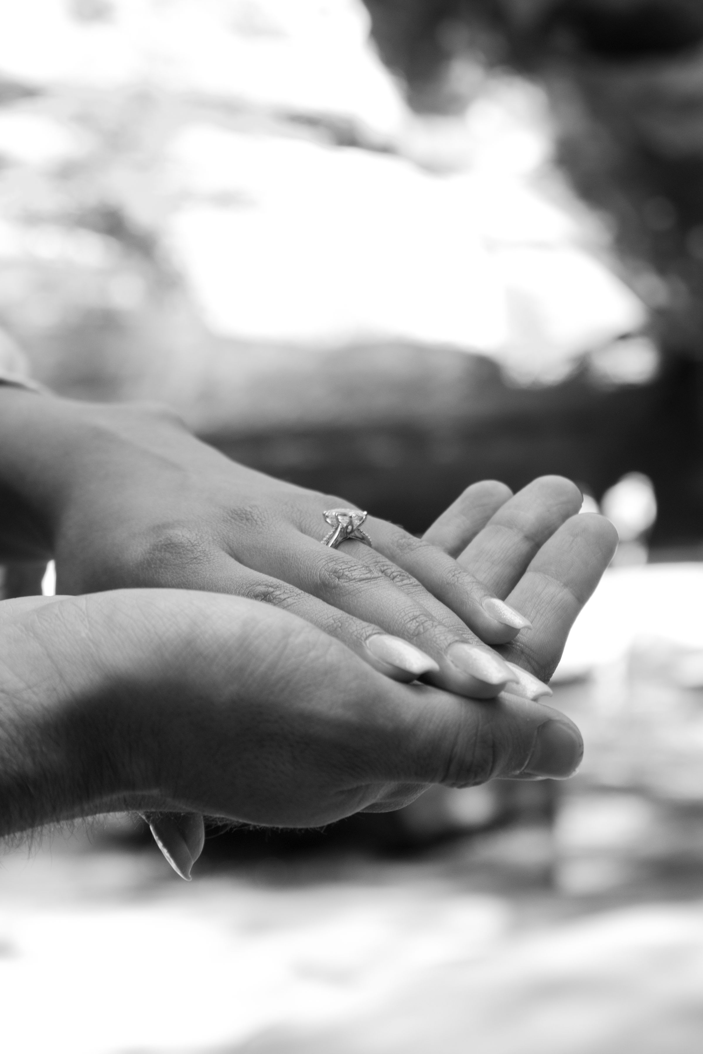 Veltum 
Productions's image