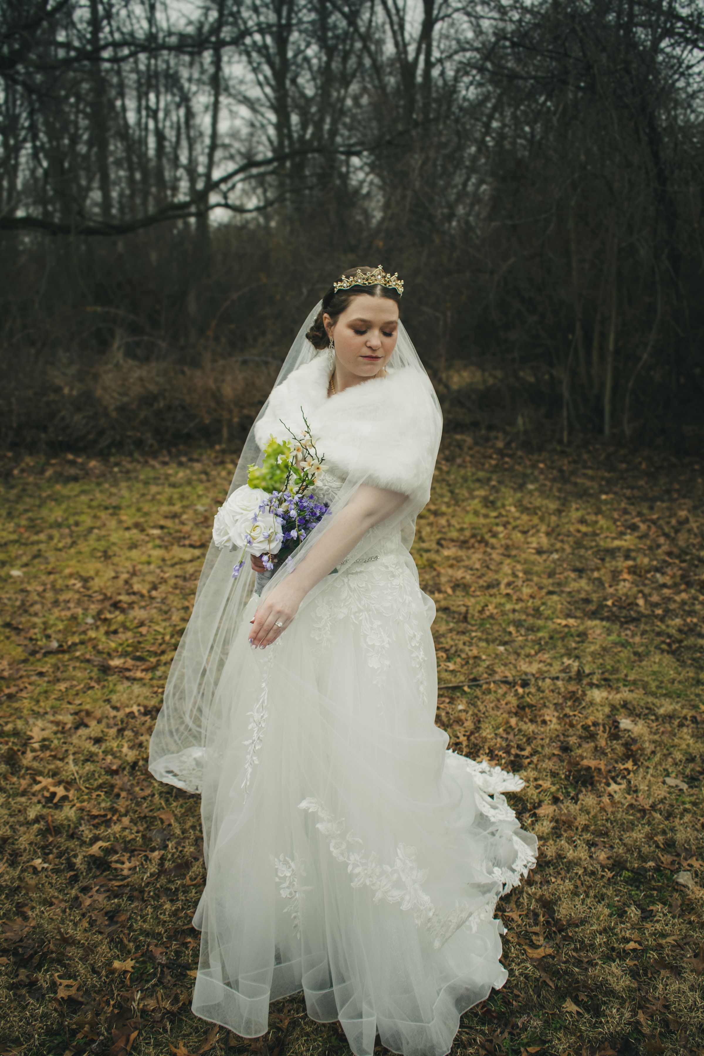 Veltum 
Productions's image