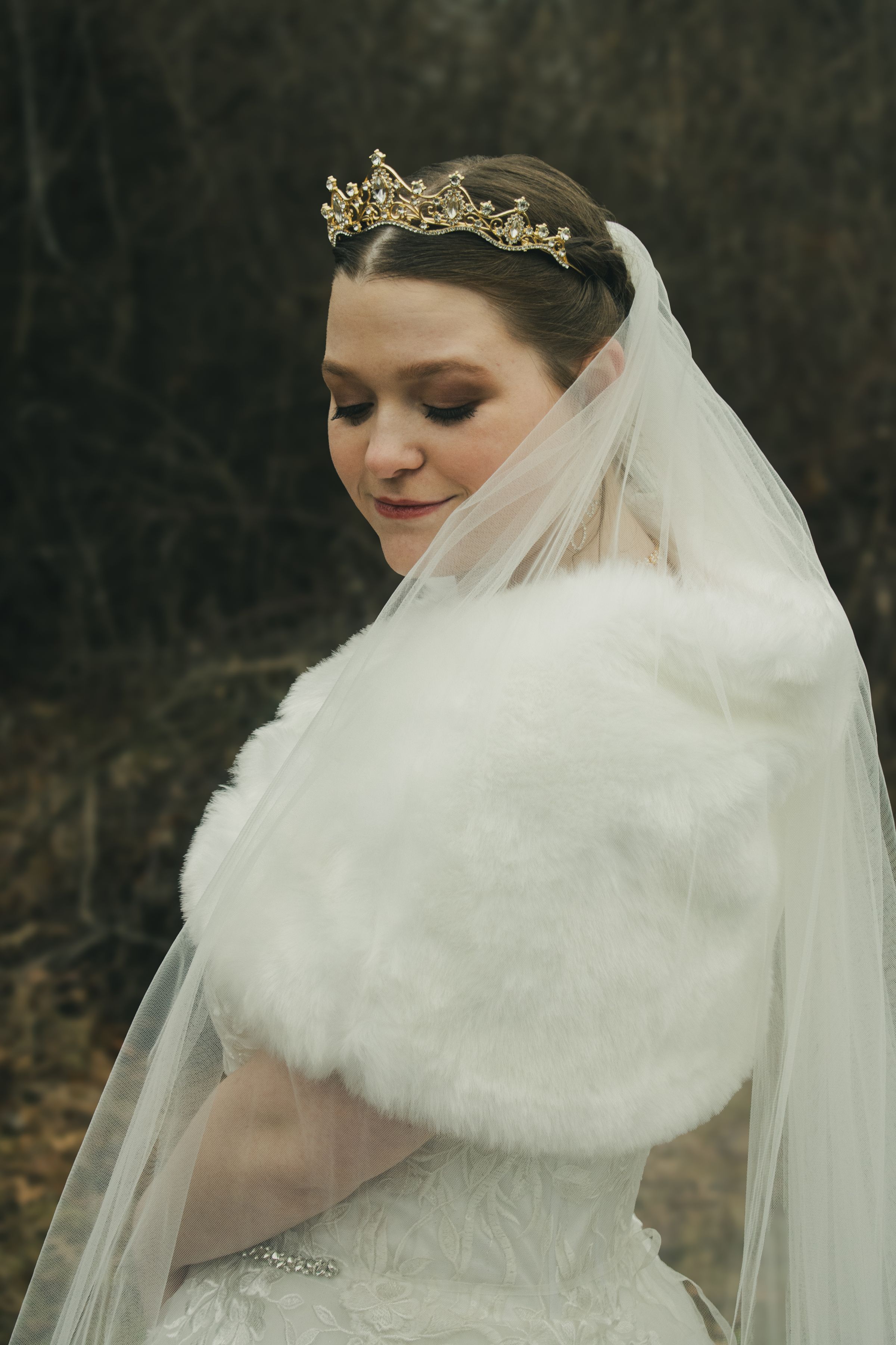 Veltum 
Productions's image