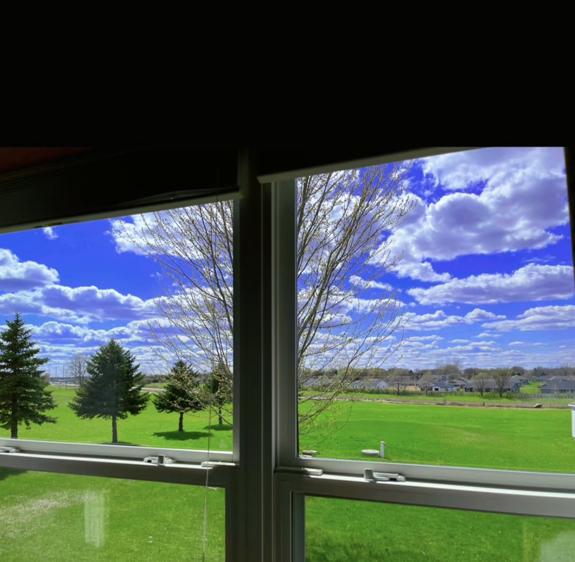 Willmar Window's image