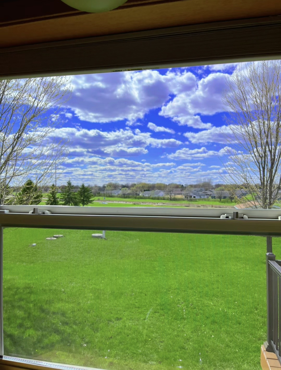 Willmar Window's image