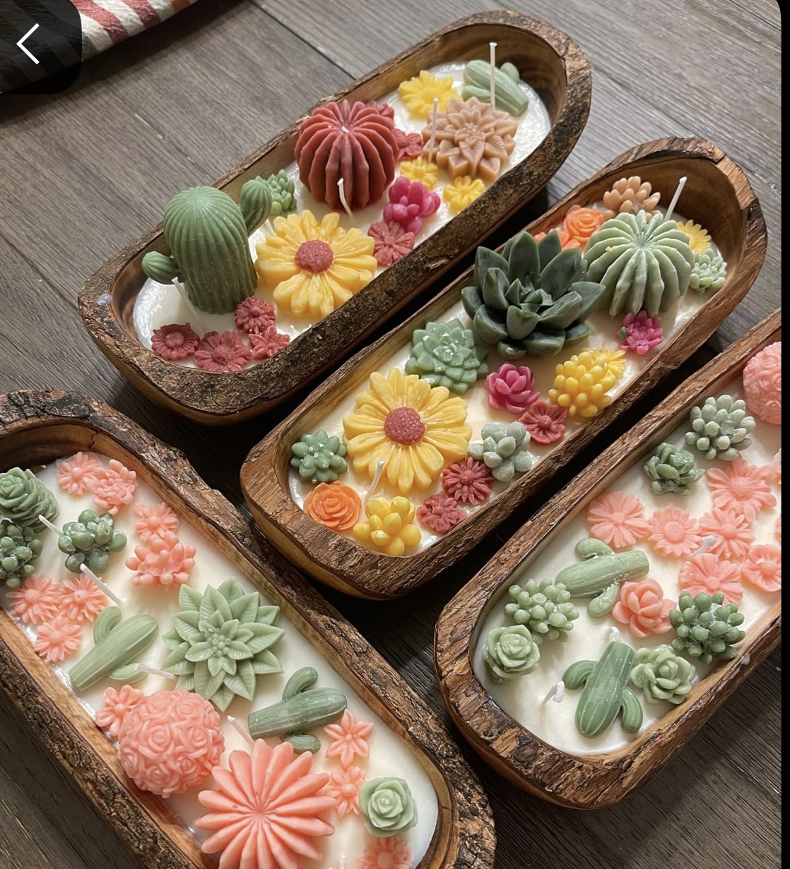 Candle succulent