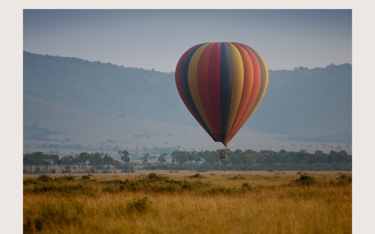 Moyagabo Tours's image