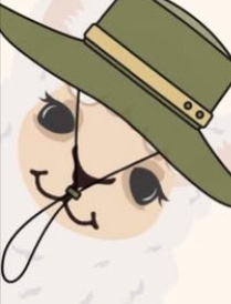 Anvil Alpacas of Durham 's image