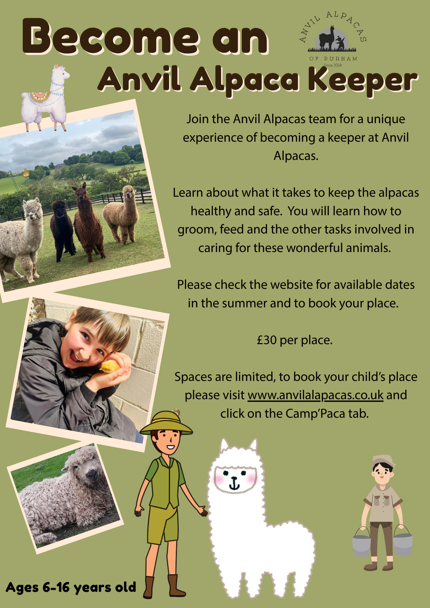 Anvil Alpacas of Durham 's image
