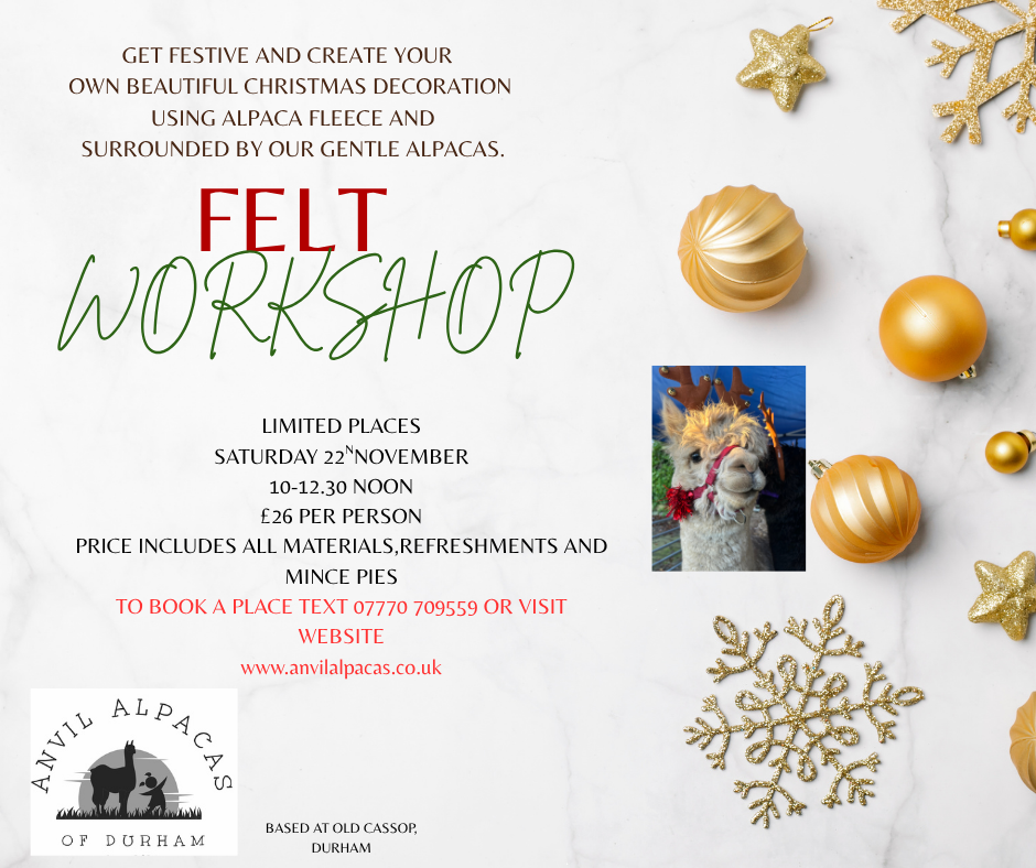 Anvil Alpacas of Durham 's image