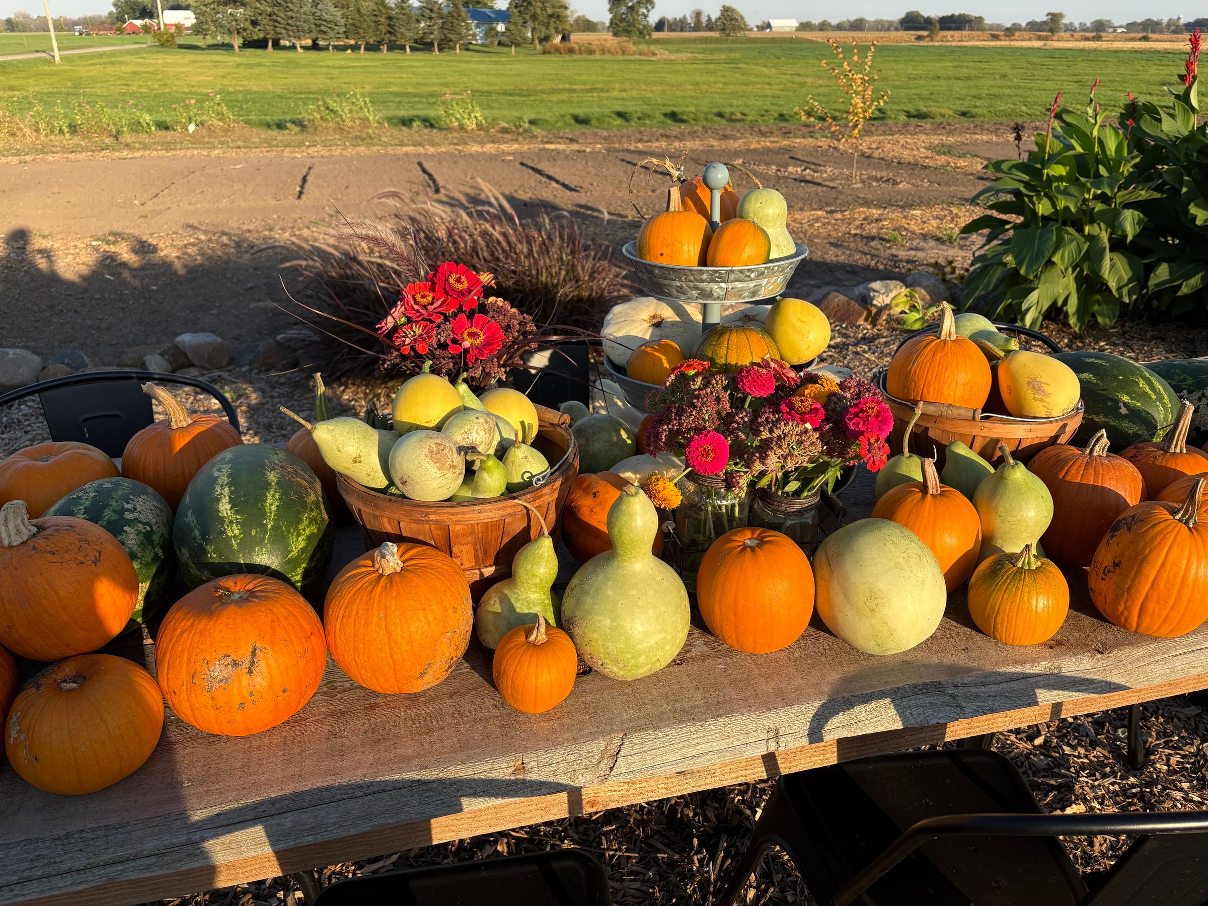 Midway Acres, LLC's image