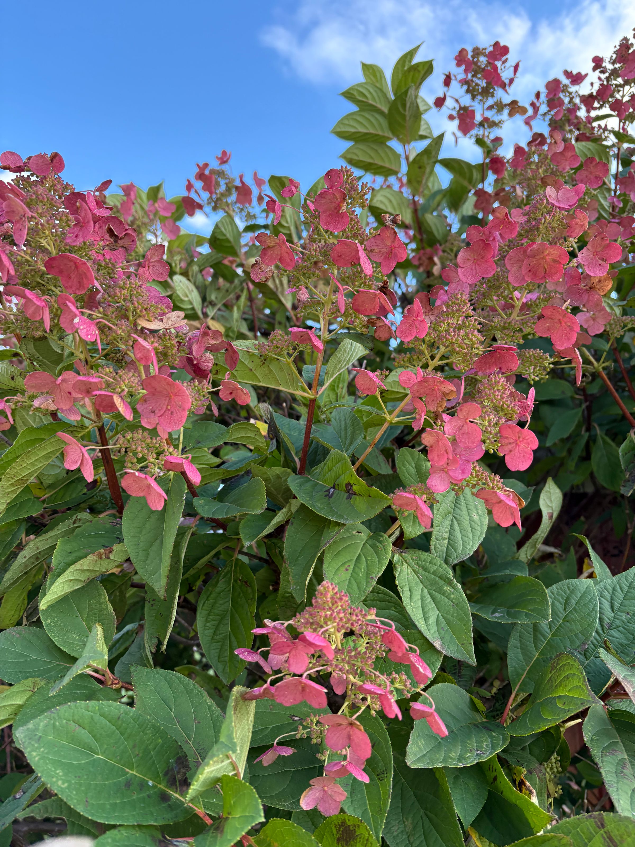 Midway Acres, LLC's image