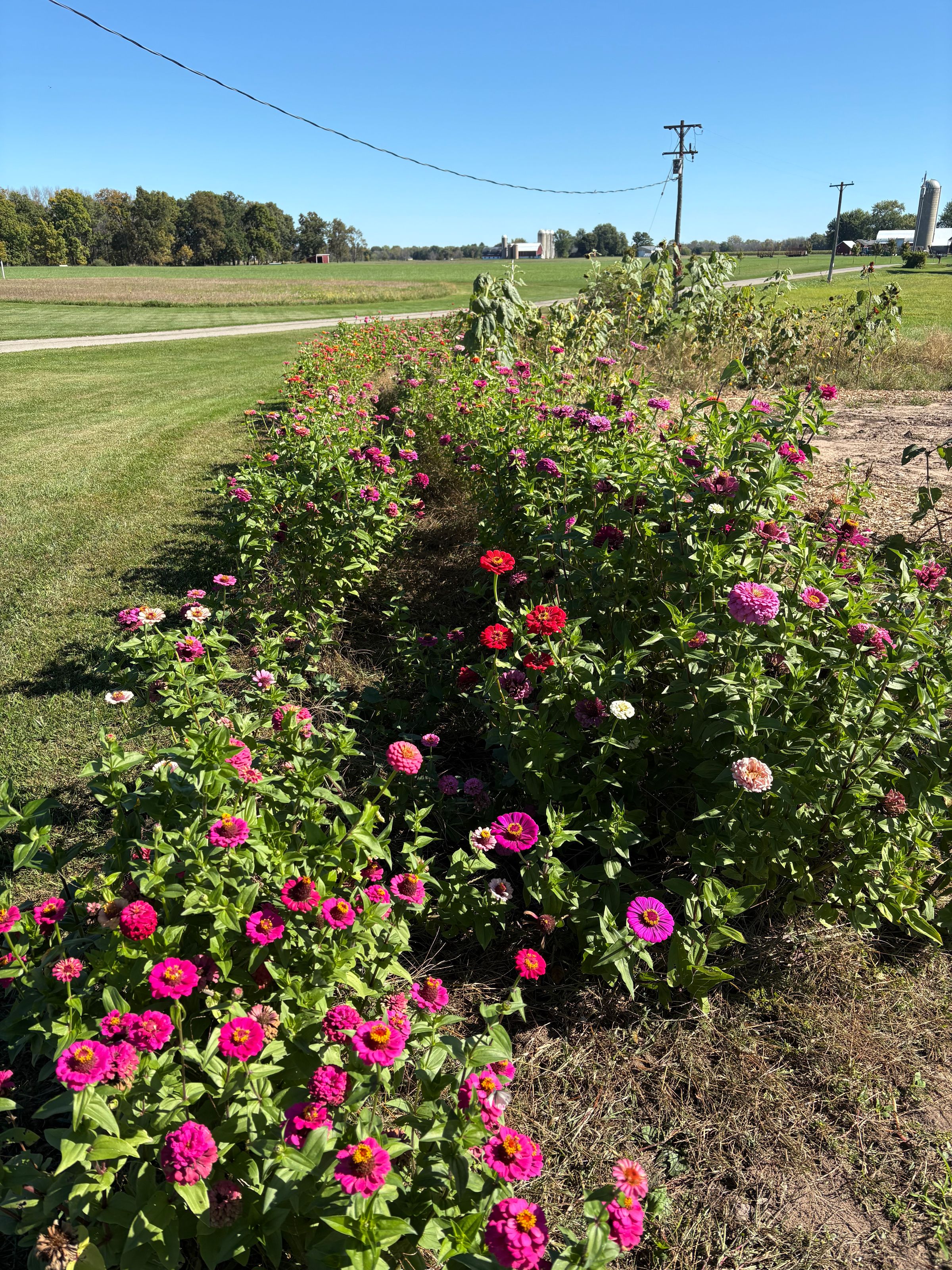 Midway Acres, LLC's image