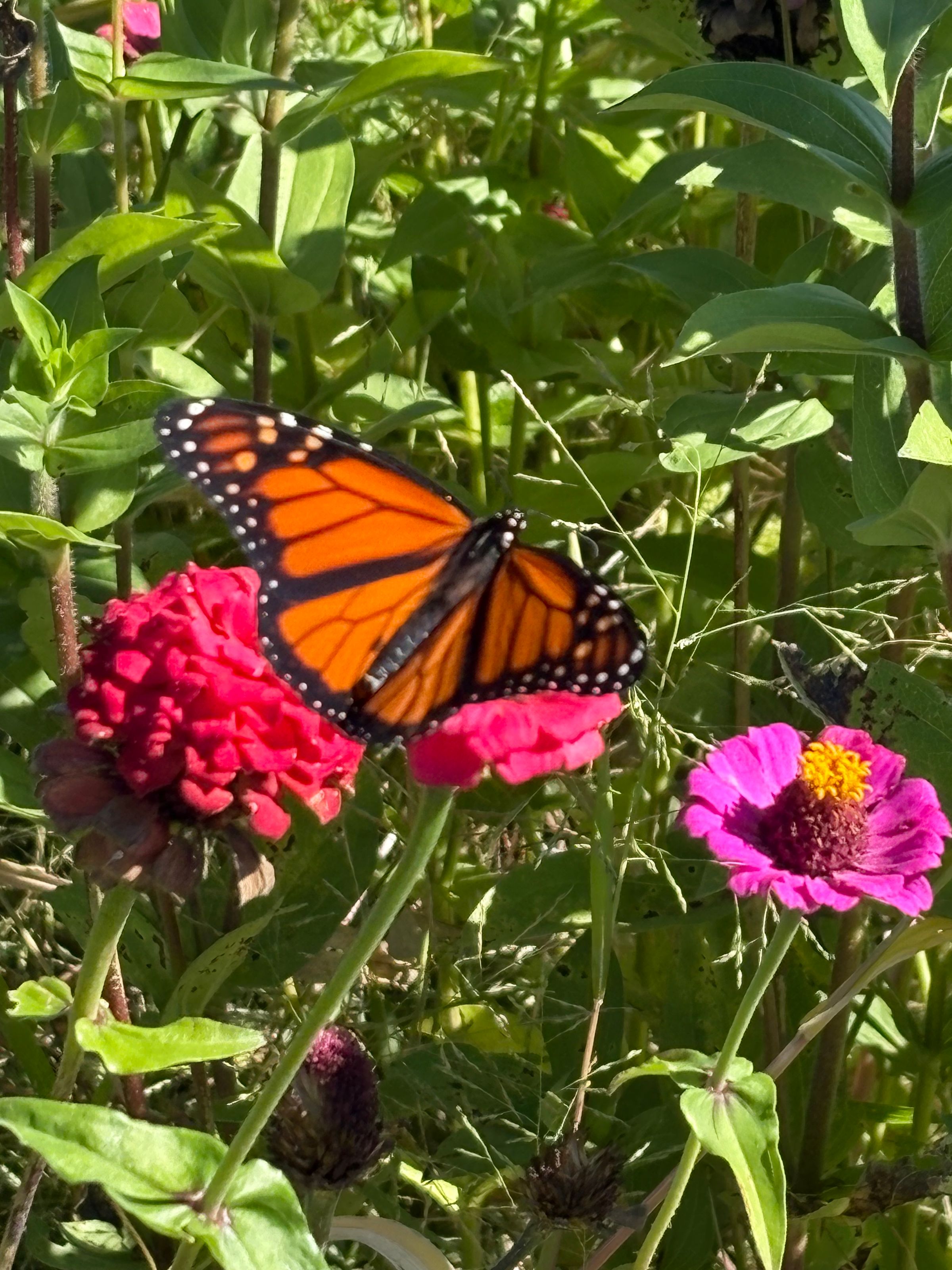 Midway Acres, LLC's image