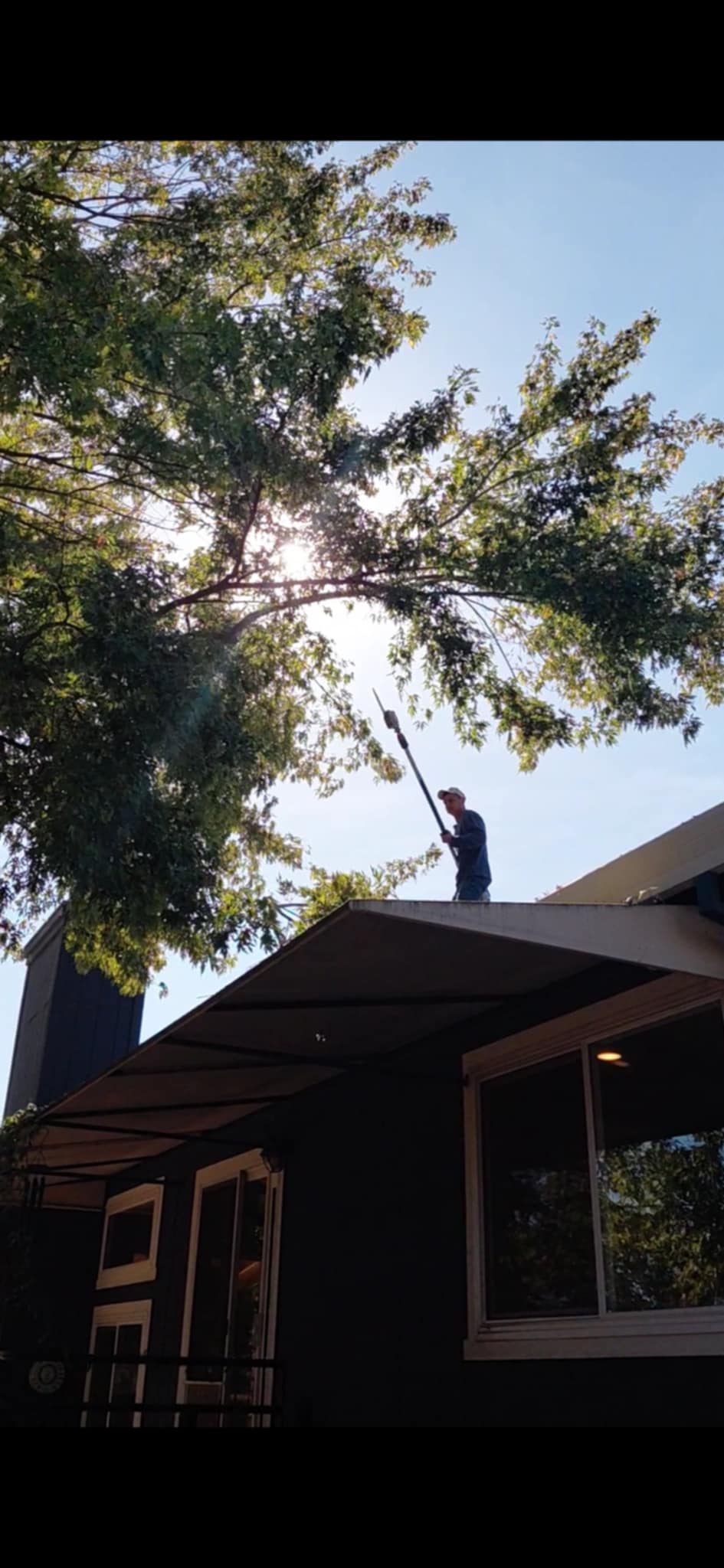 Removing Tree limb from roof