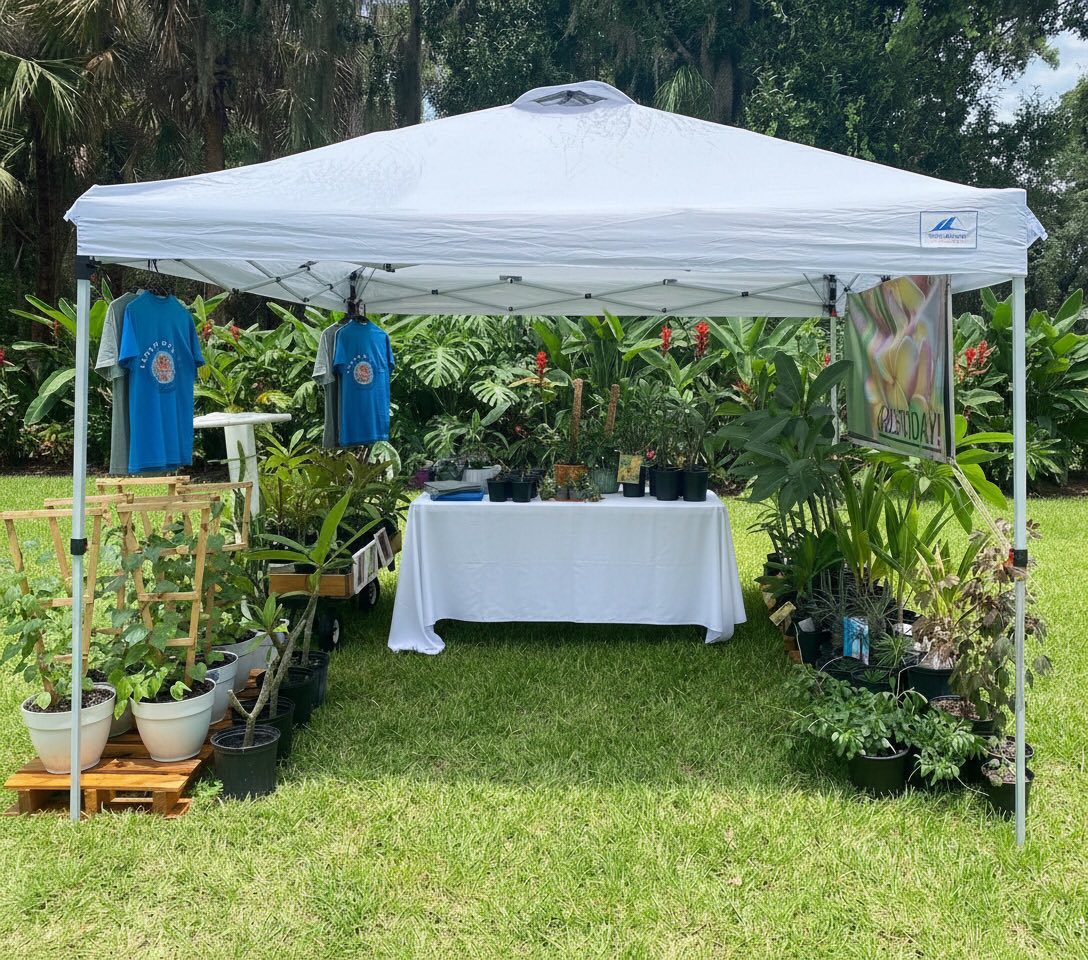 Aloha Blooms Frangipani's image