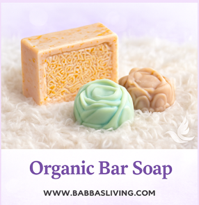 B.A.B.B.A.S.'s image