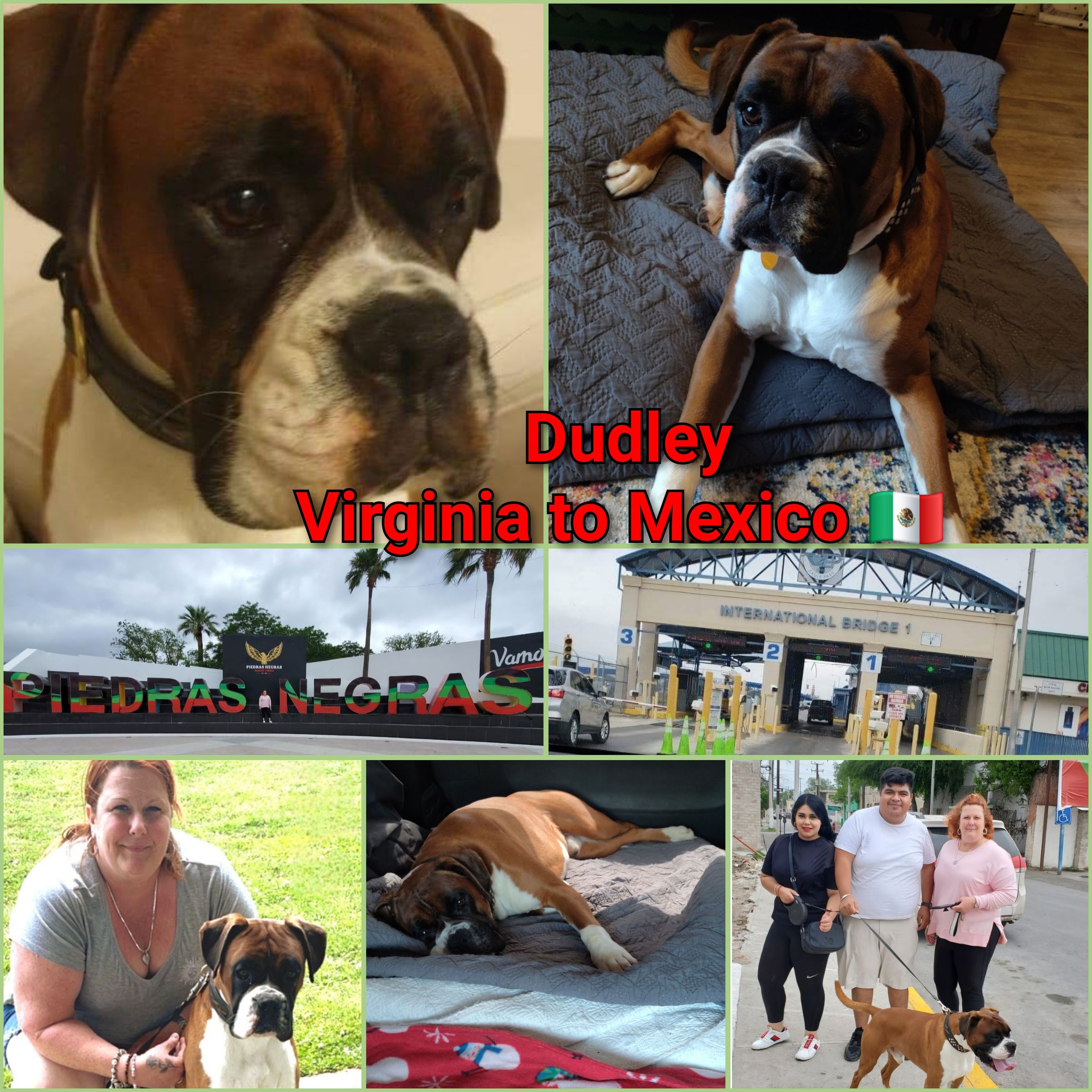 ARTEMIS ELITE's image