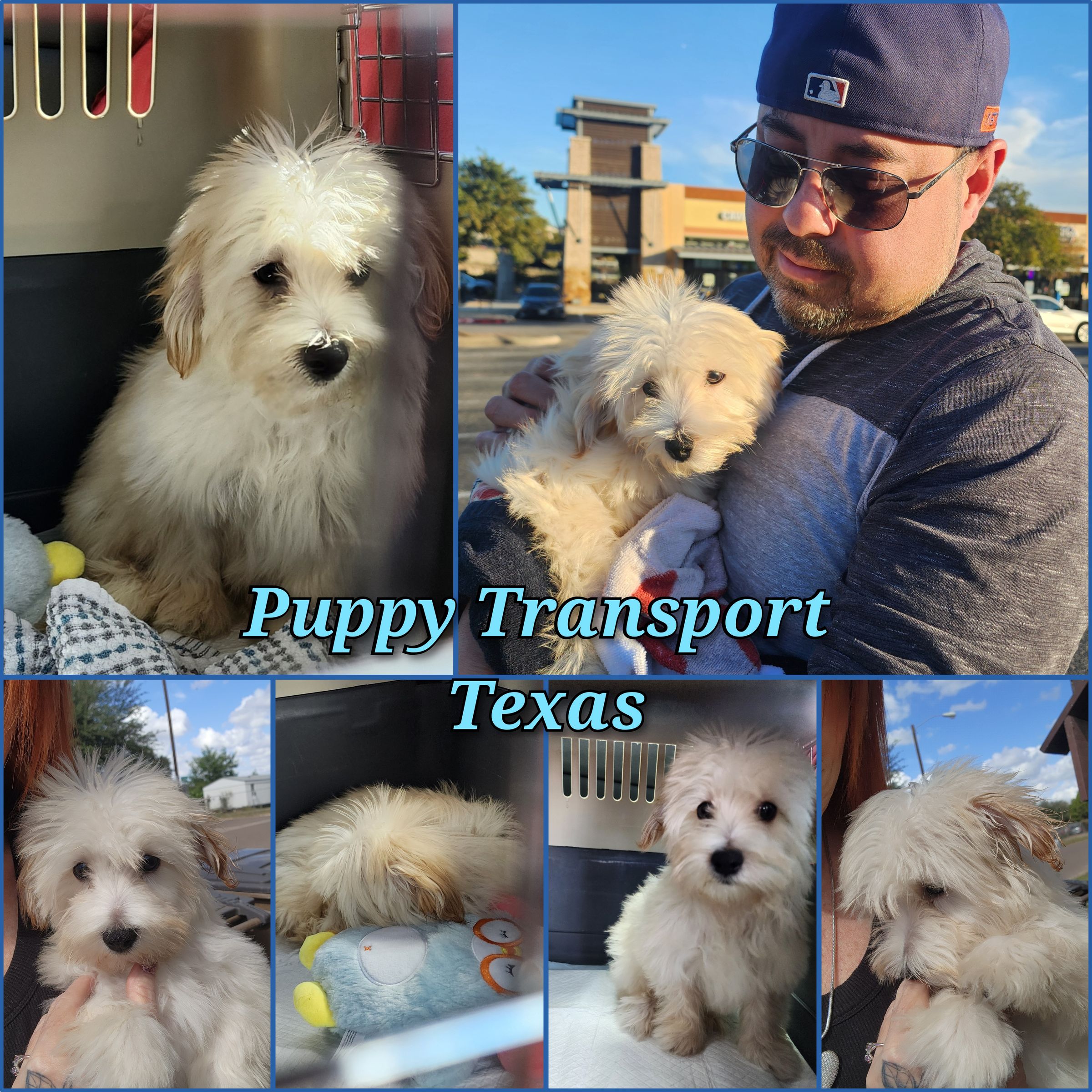 ARTEMIS ELITE's image