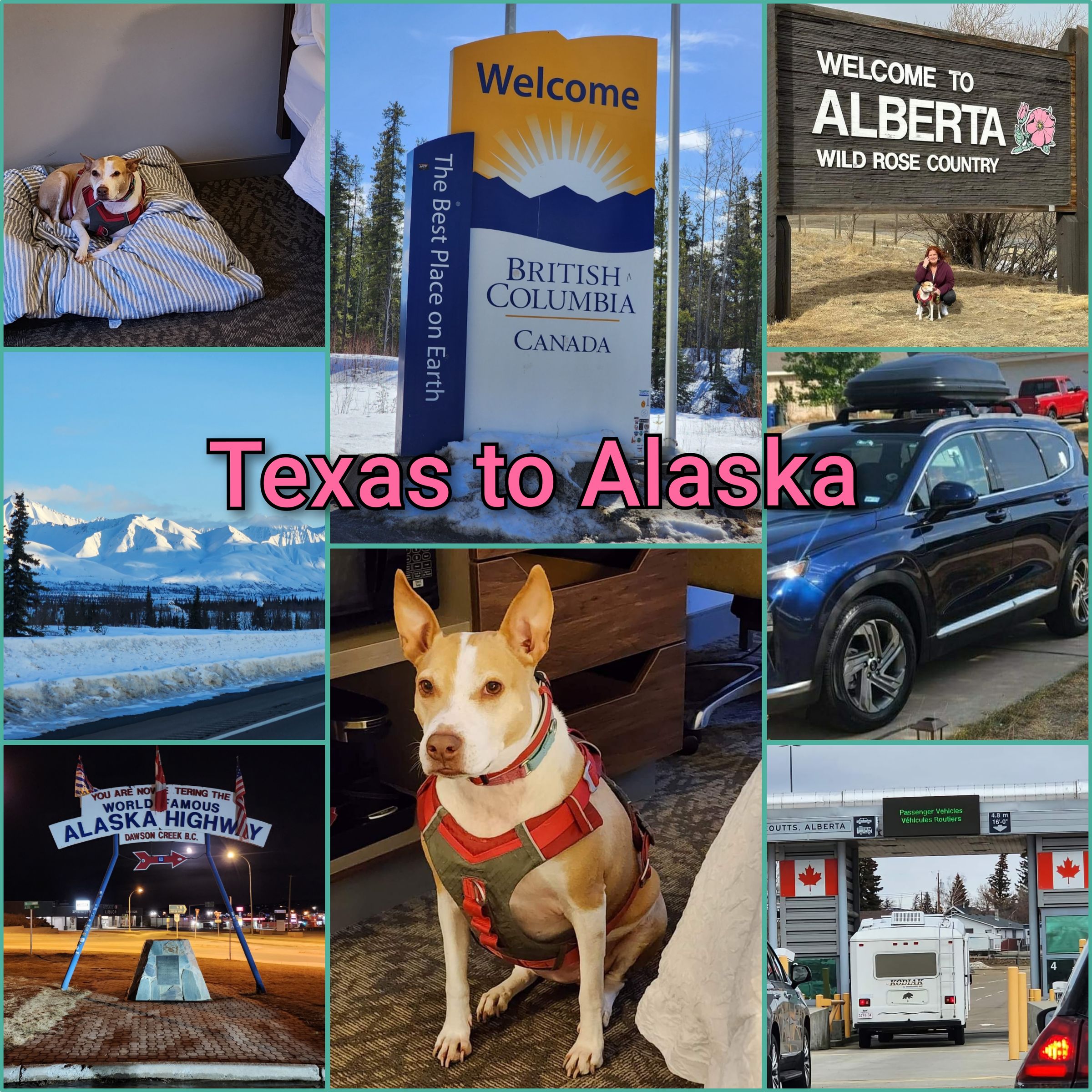 ARTEMIS ELITE's image