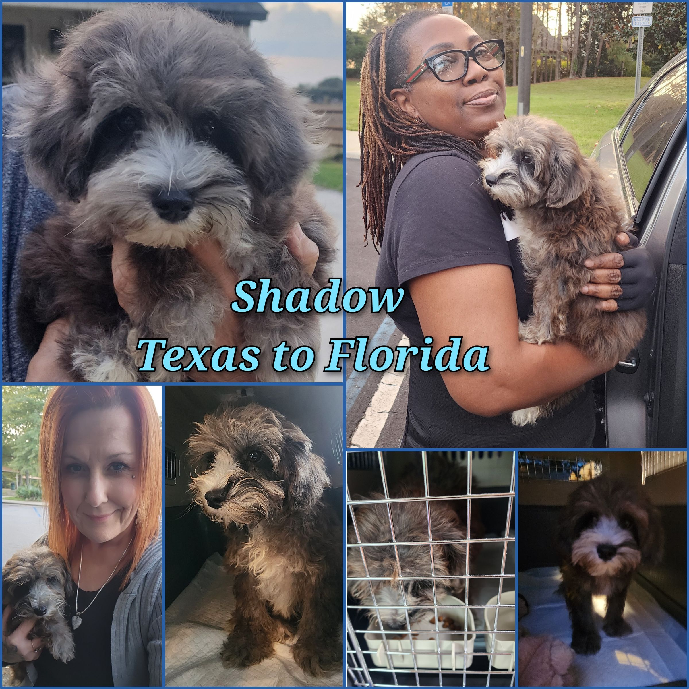 ARTEMIS ELITE's image