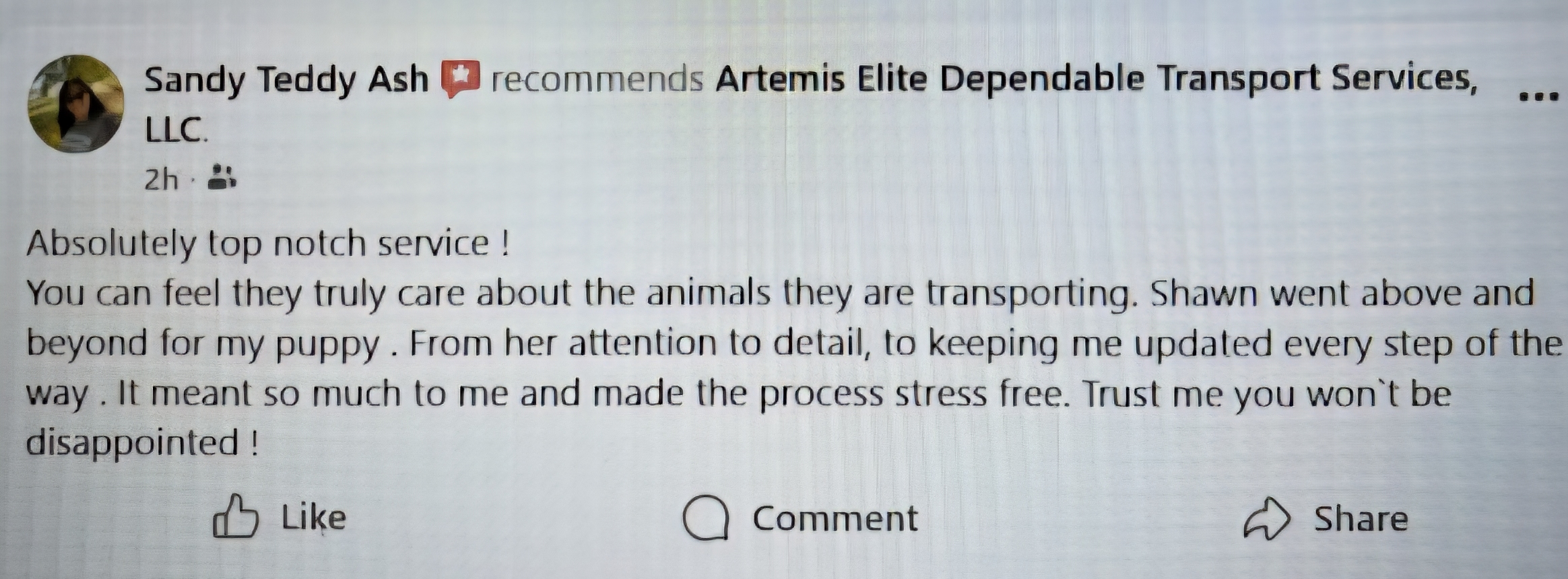 ARTEMIS ELITE's image