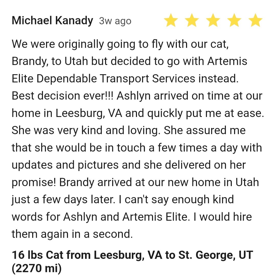 ARTEMIS ELITE's image