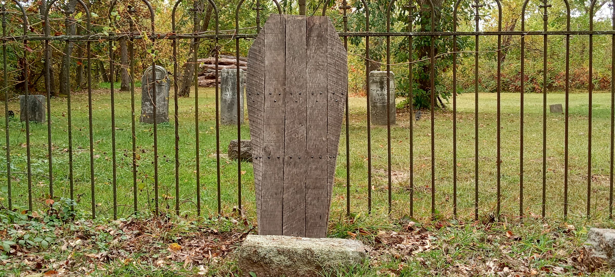 Dug Up Decor's image