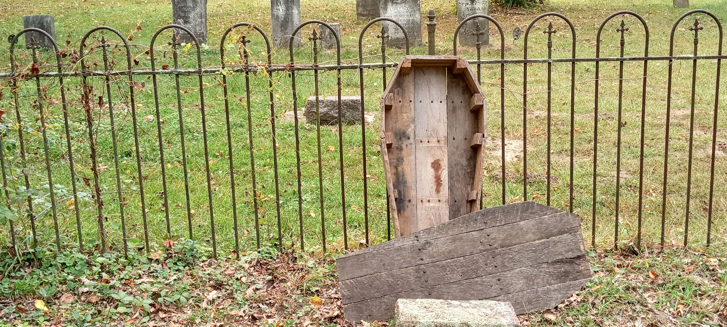 Dug Up Decor's image