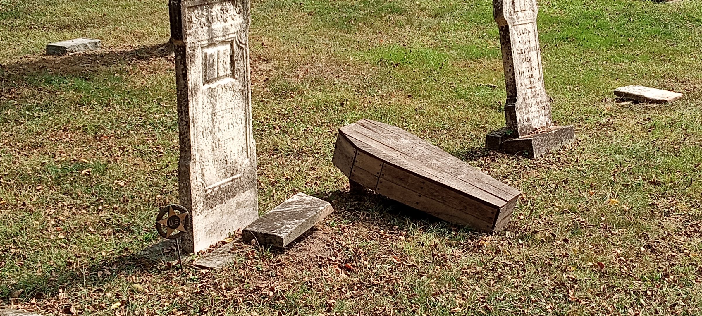 Dug Up Decor's image