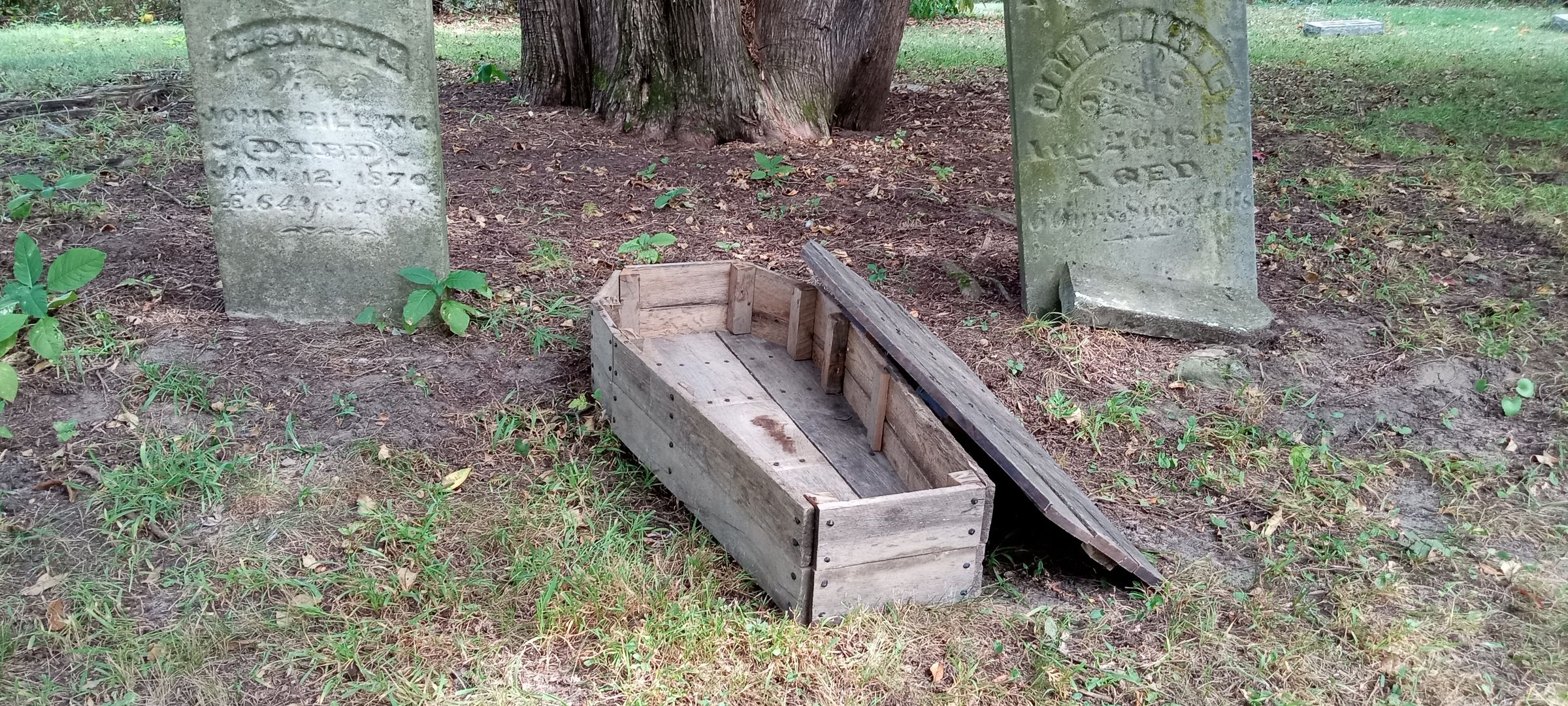 Dug Up Decor's image