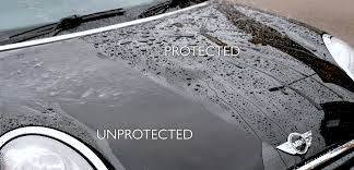 Rutherford Auto Detail's image