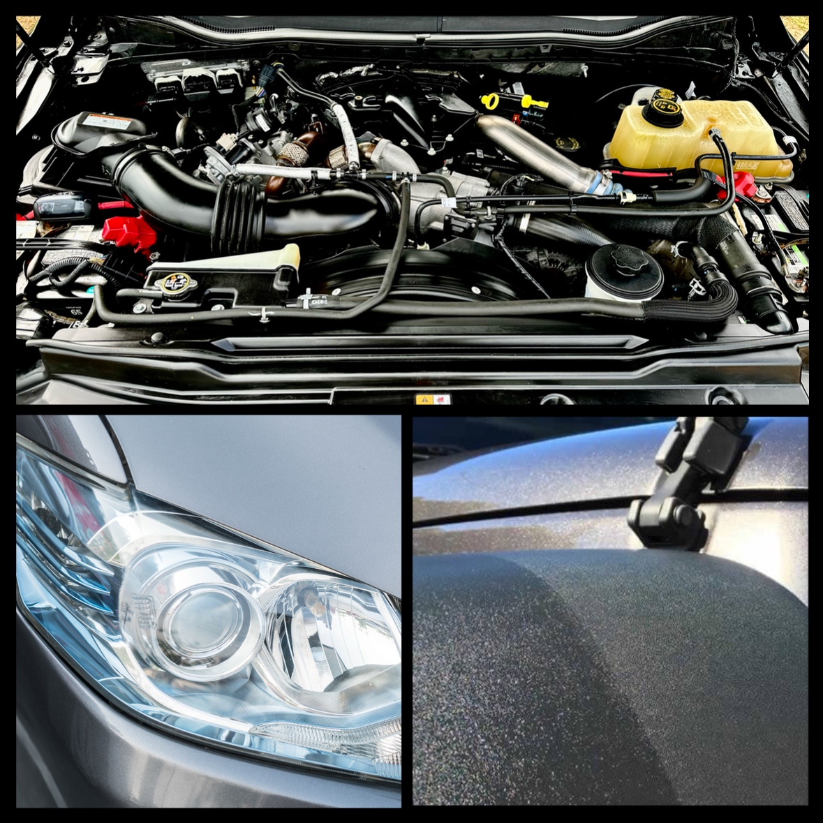 Rutherford Auto Detail's image