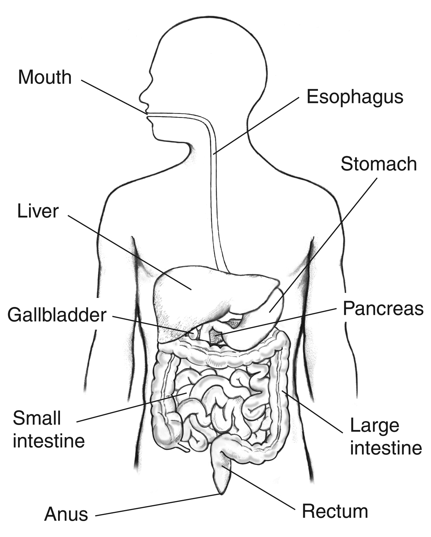 Kidney Health and BP Timing's image