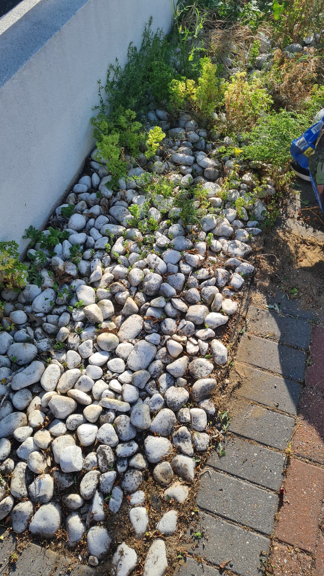 Just a Hand HOME HELP's image