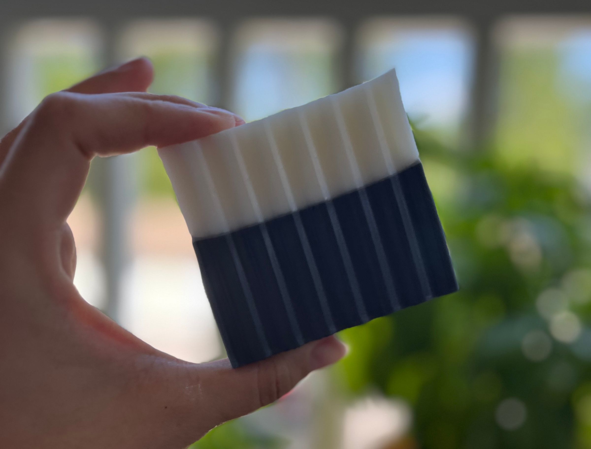 Activated Charcoal & Peppermint $6