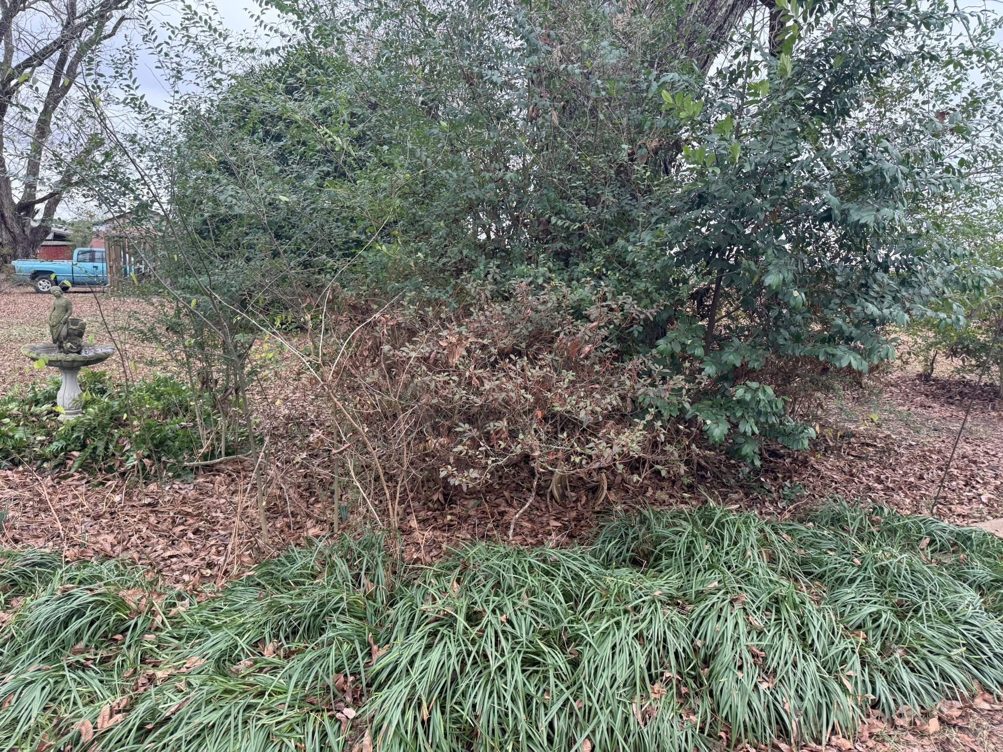 Weber Elite Services LLC's image