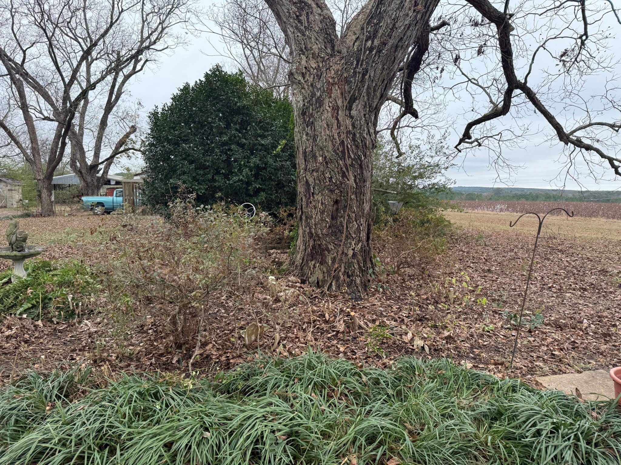 Weber Elite Services LLC's image