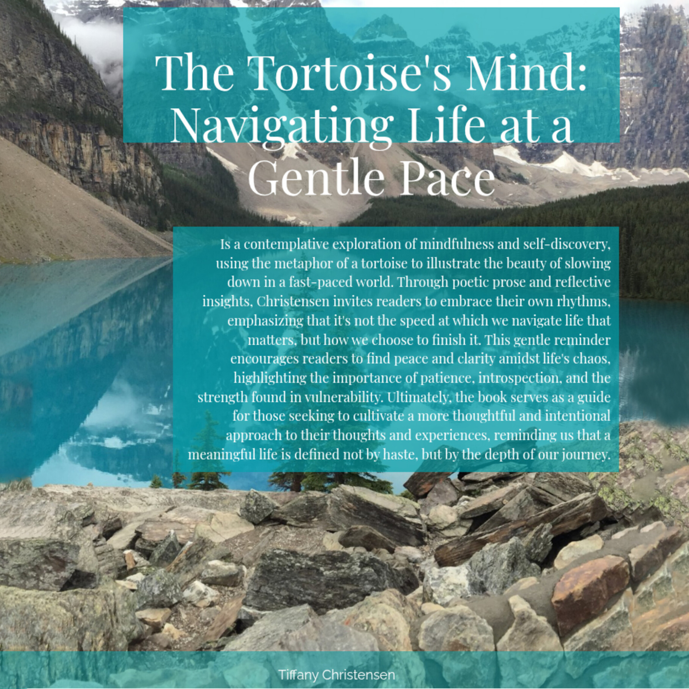 Book Cover for The Tortoise's Mind