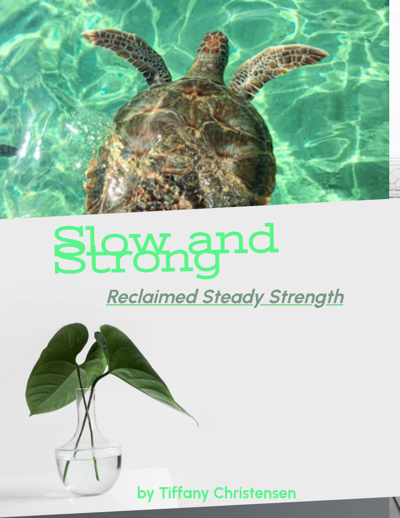 Book Cover Slow AND Strong