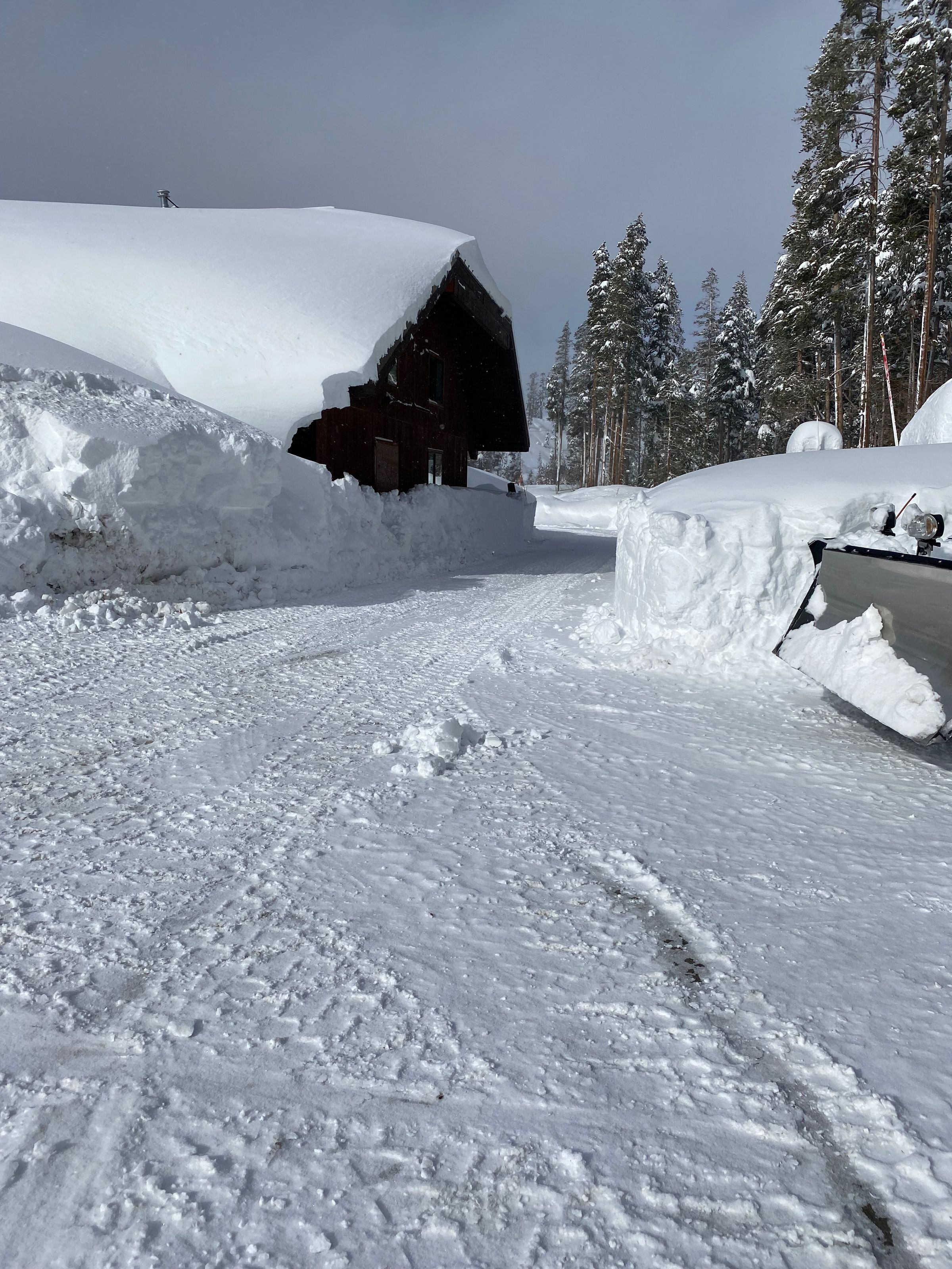 South Tahoe Services LLC's image