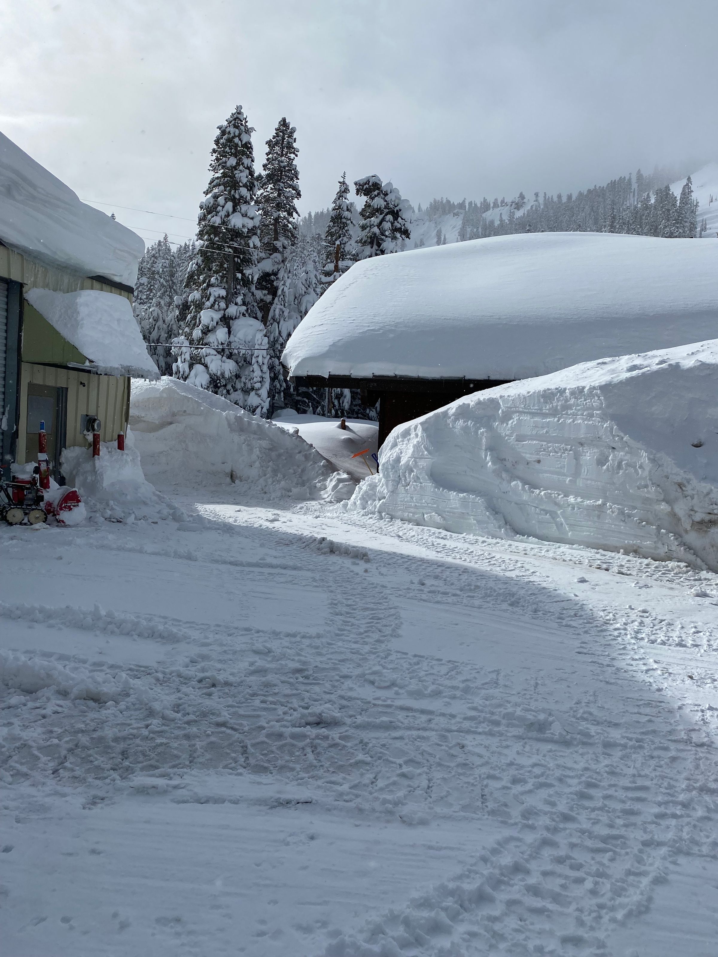 South Tahoe Services LLC's image