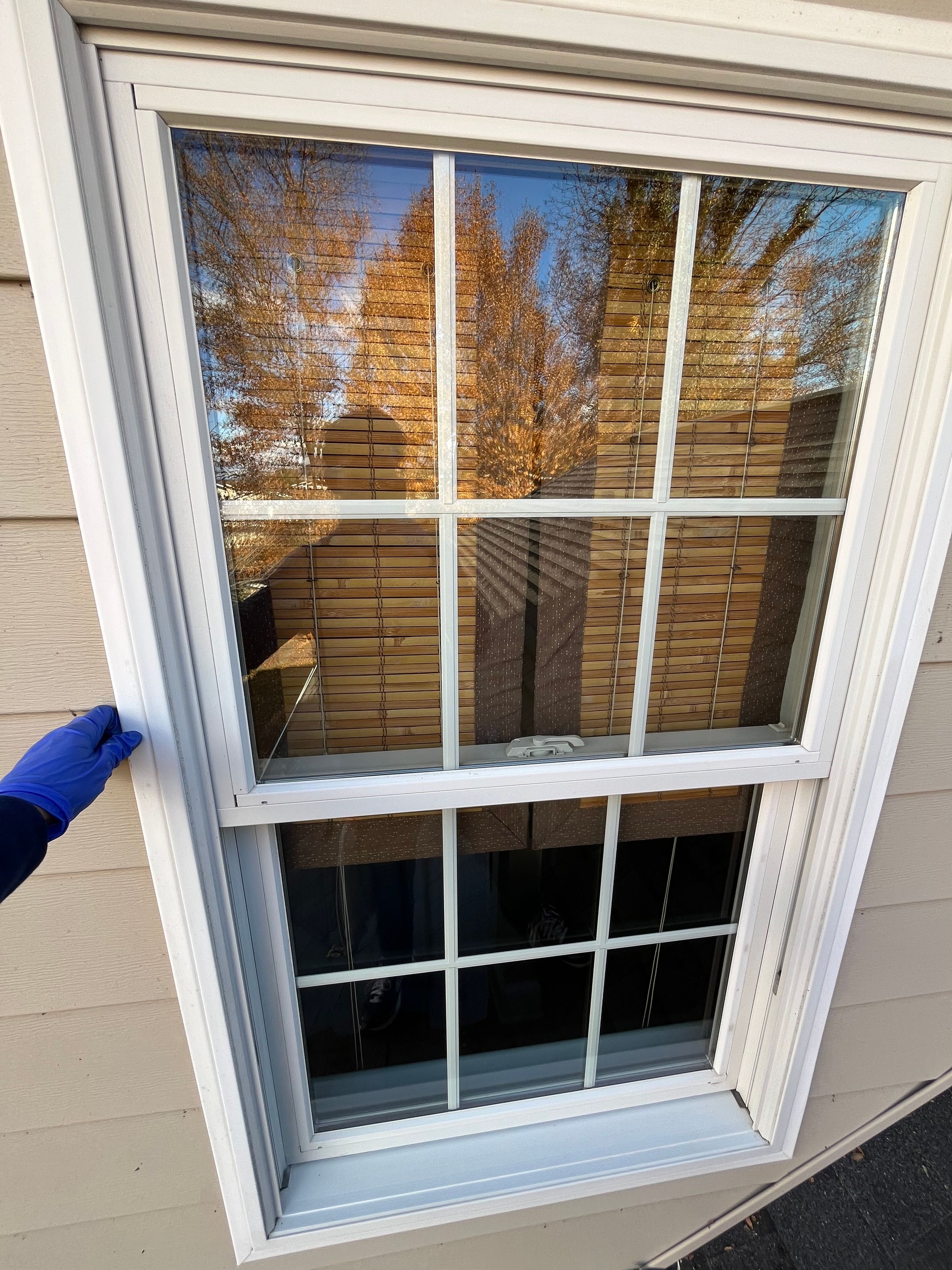 Shenandoah Shine Services, LLC 's image