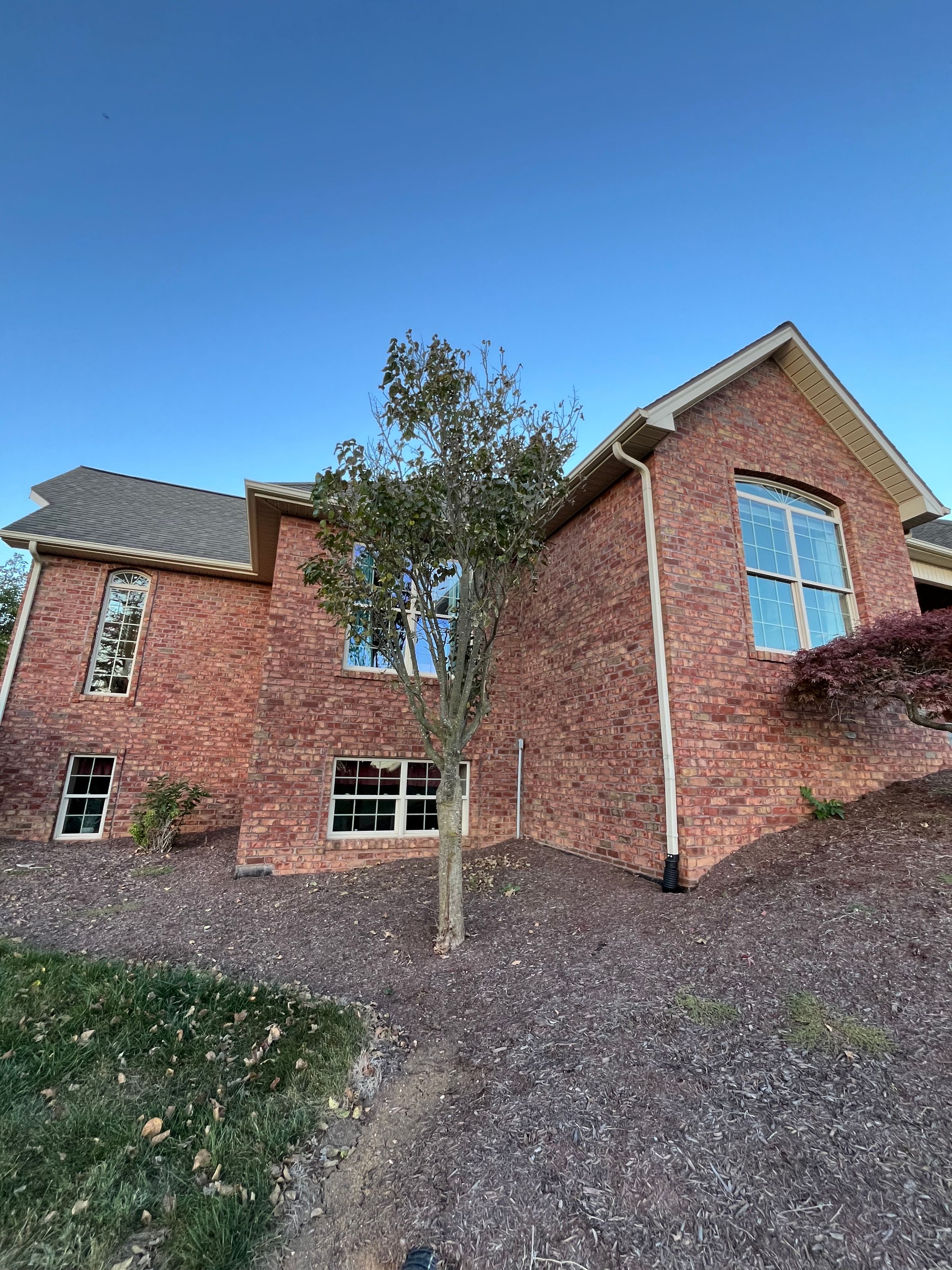 Shenandoah Shine Services, LLC 's image