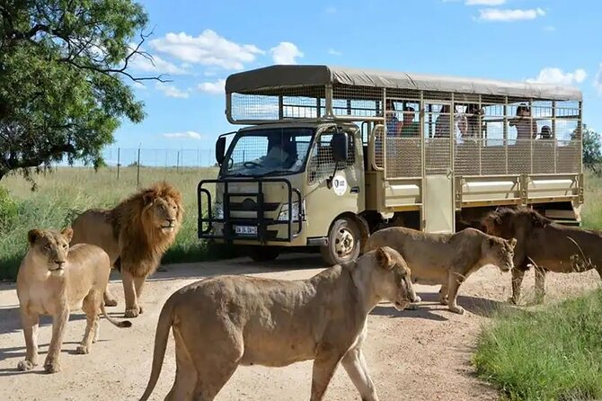 Kalenbah travel's image